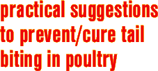 practical suggestions to prevent/cure tail